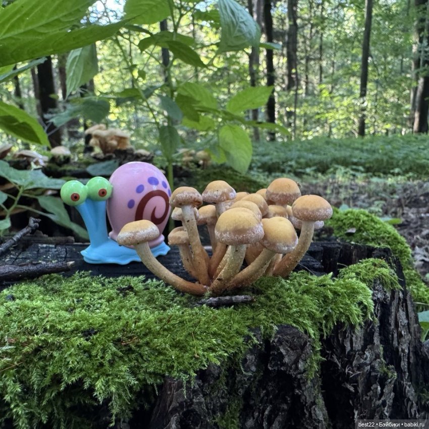 Грибник Гэри — Игровые куклы разных производителей (Разное): редкие бренды (фото 7)