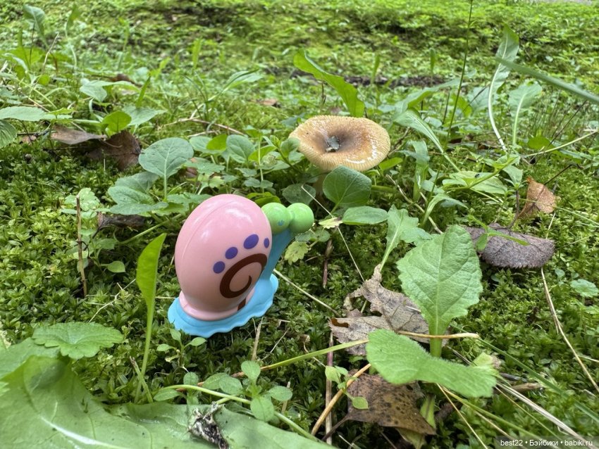 Грибник Гэри — Игровые куклы разных производителей (Разное): редкие бренды