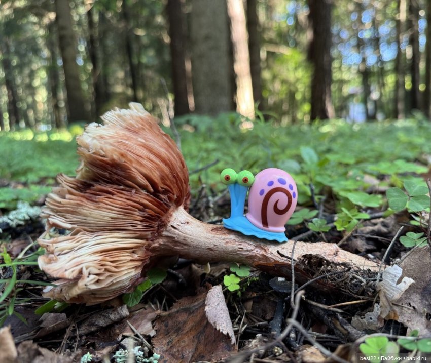 Грибник Гэри — Игровые куклы разных производителей (Разное): редкие бренды (фото 3)