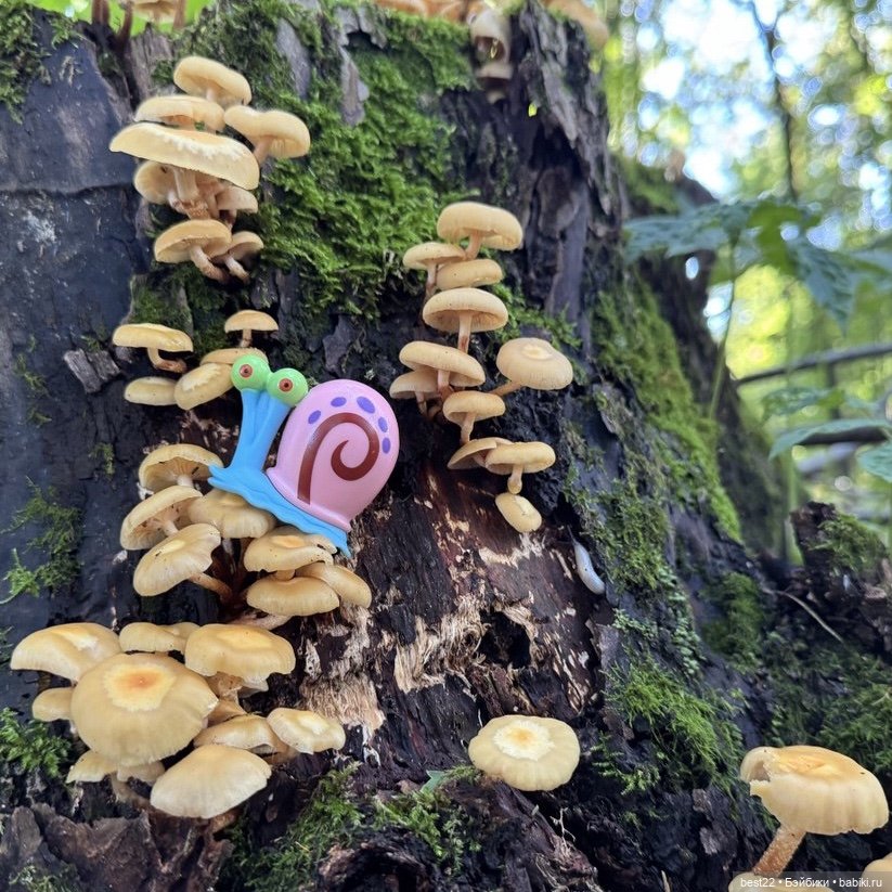 Грибник Гэри — Игровые куклы разных производителей (Разное): редкие бренды