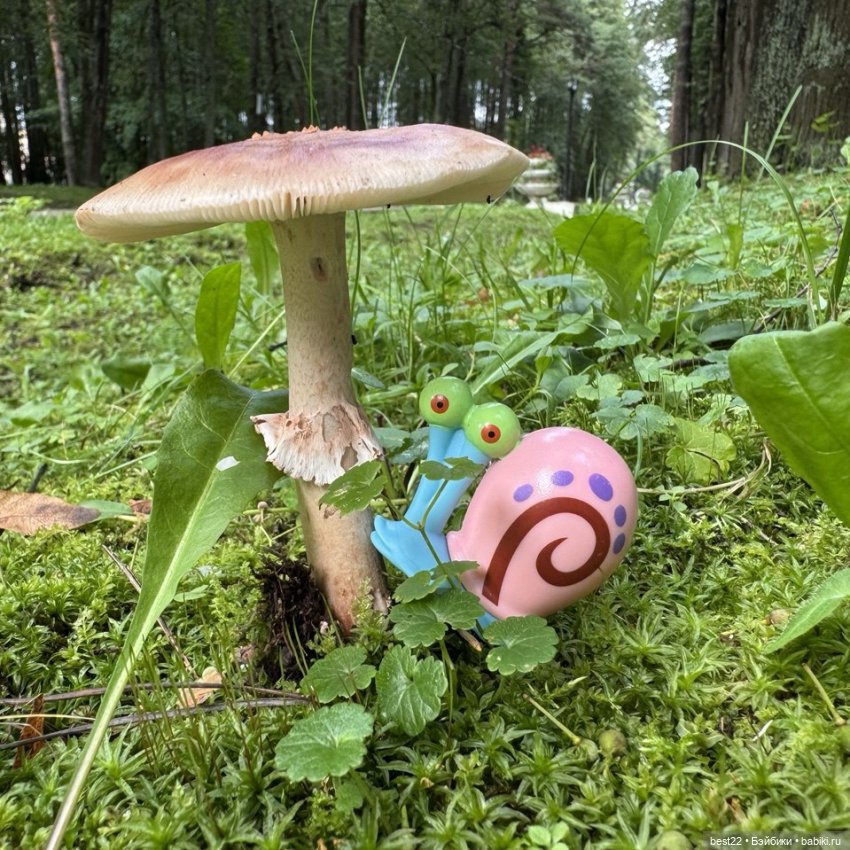 Грибник Гэри — Игровые куклы разных производителей (Разное): редкие бренды (фото 5)