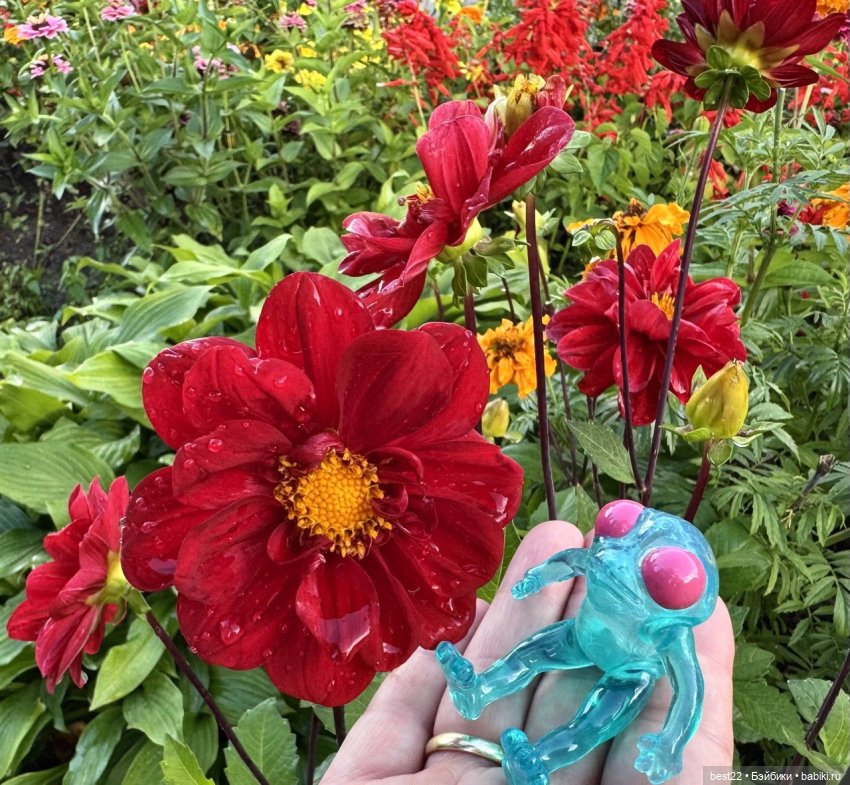 Летние прогулки с Мулей — Авторские игрушки из разных материалов: синельная проволока (фото 8)