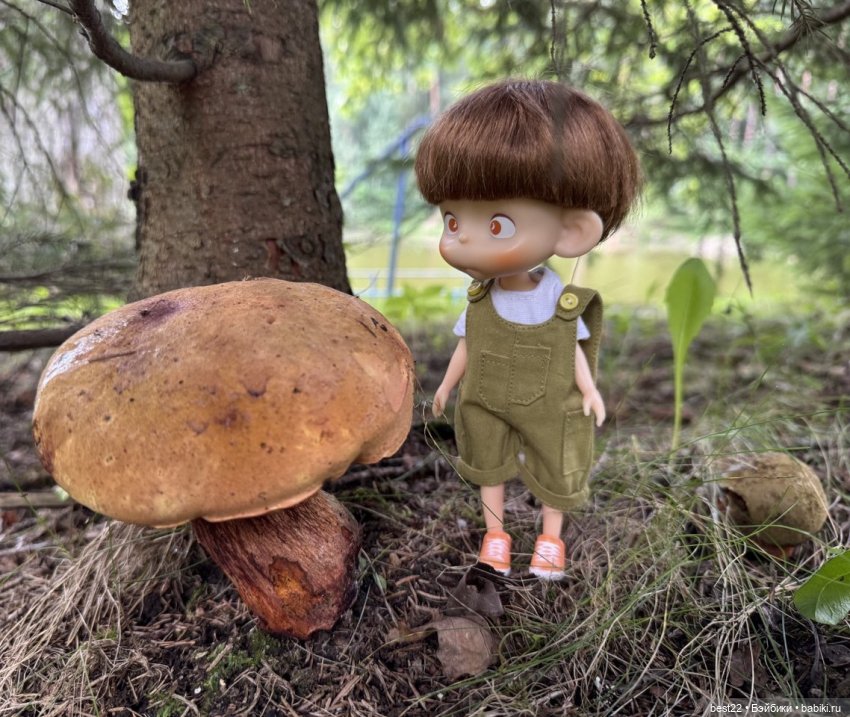 Антошка Pututu и лето-2025г (фото 6)