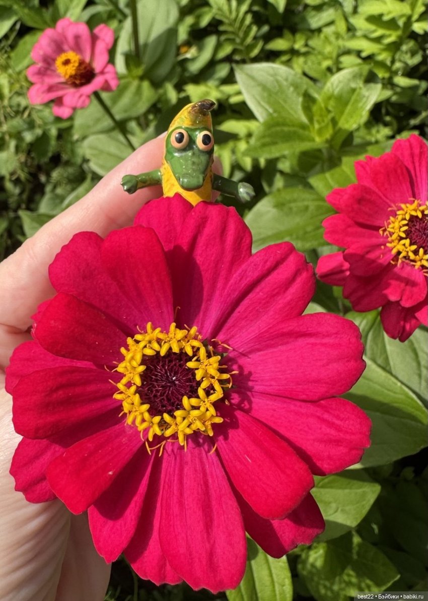 Куклядь крокодиловая — Домашние фото авторских игрушек: Тедди (фото 3)