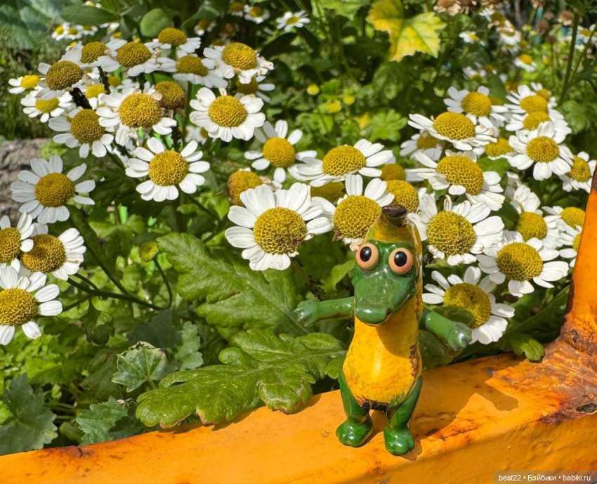 Куклядь крокодиловая — Домашние фото авторских игрушек: Тедди (фото 6)