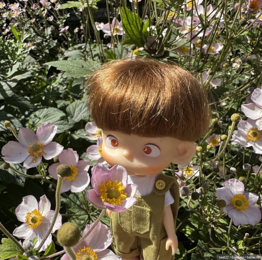 Антошка Pututu и лето-2025г (фото 5)