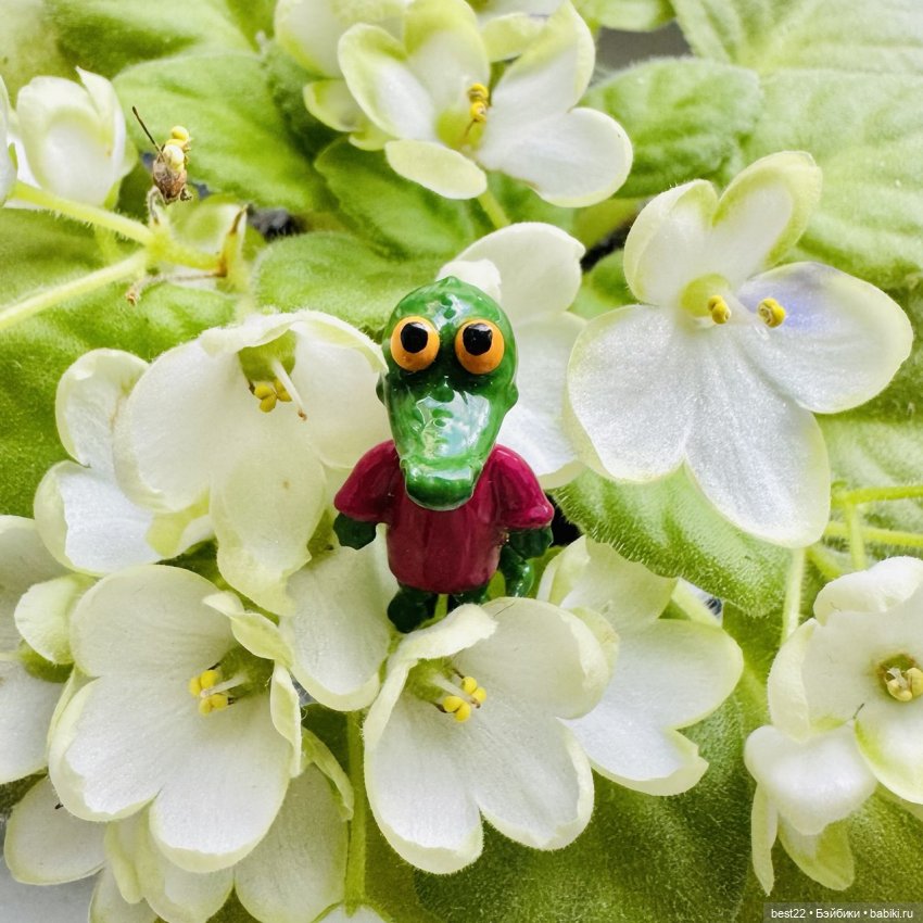 Куклядь крокодиловая — Домашние фото авторских игрушек: Тедди