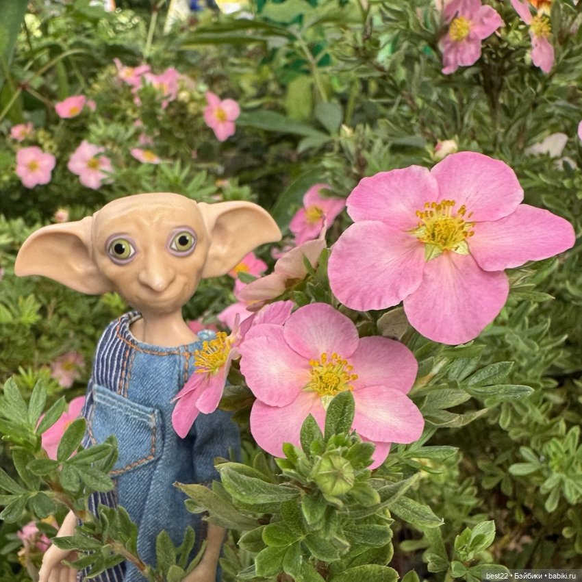 Счастливый эльф Добби — Куклы Mattel (Маттел) разное: Enchantimals (фото 6)