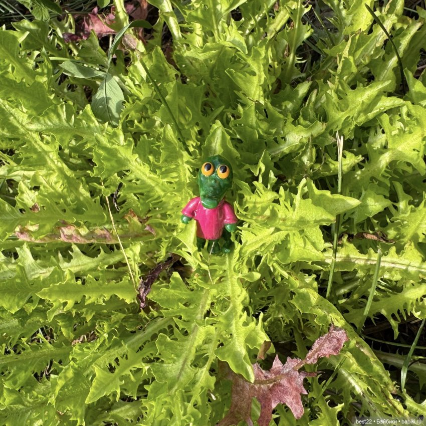 Куклядь крокодиловая — Домашние фото авторских игрушек: Тедди (фото 2)