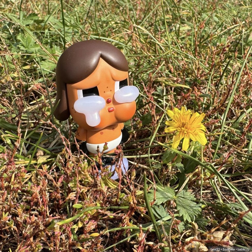 Baby Brown Crying Again — Фигурки Pop Mart (Поп Март): Blind Box