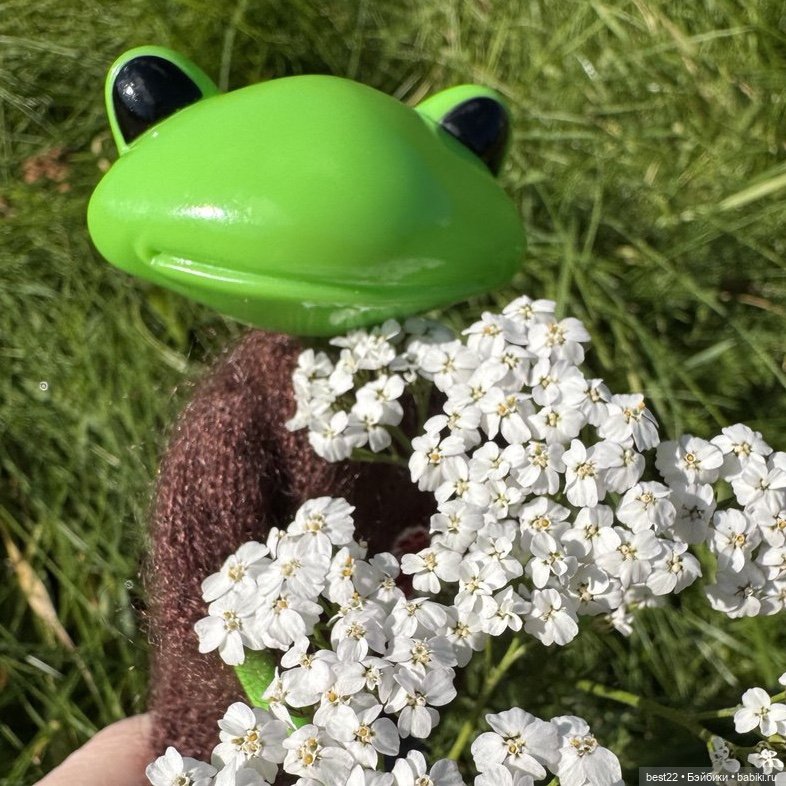 Погружение в осень с Максиком (фото 5)