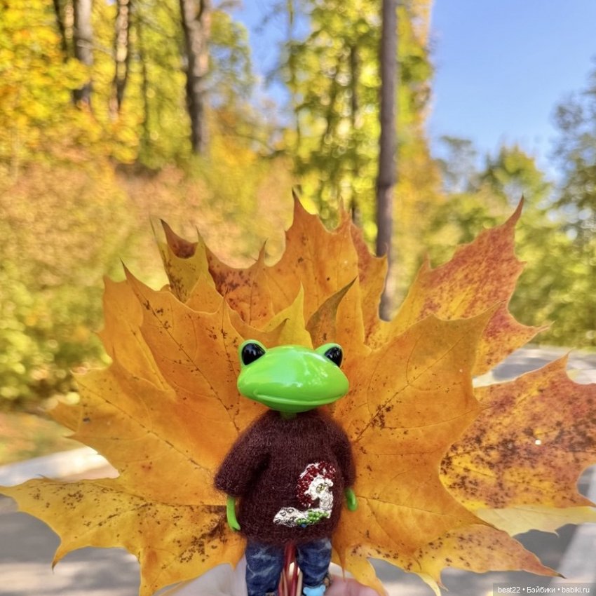 Погружение в осень с Максиком (фото 7)