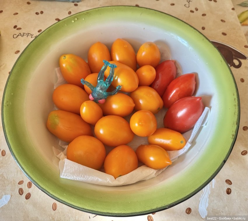 Осенний день с Мулей — Домашние фото авторских игрушек: Тедди