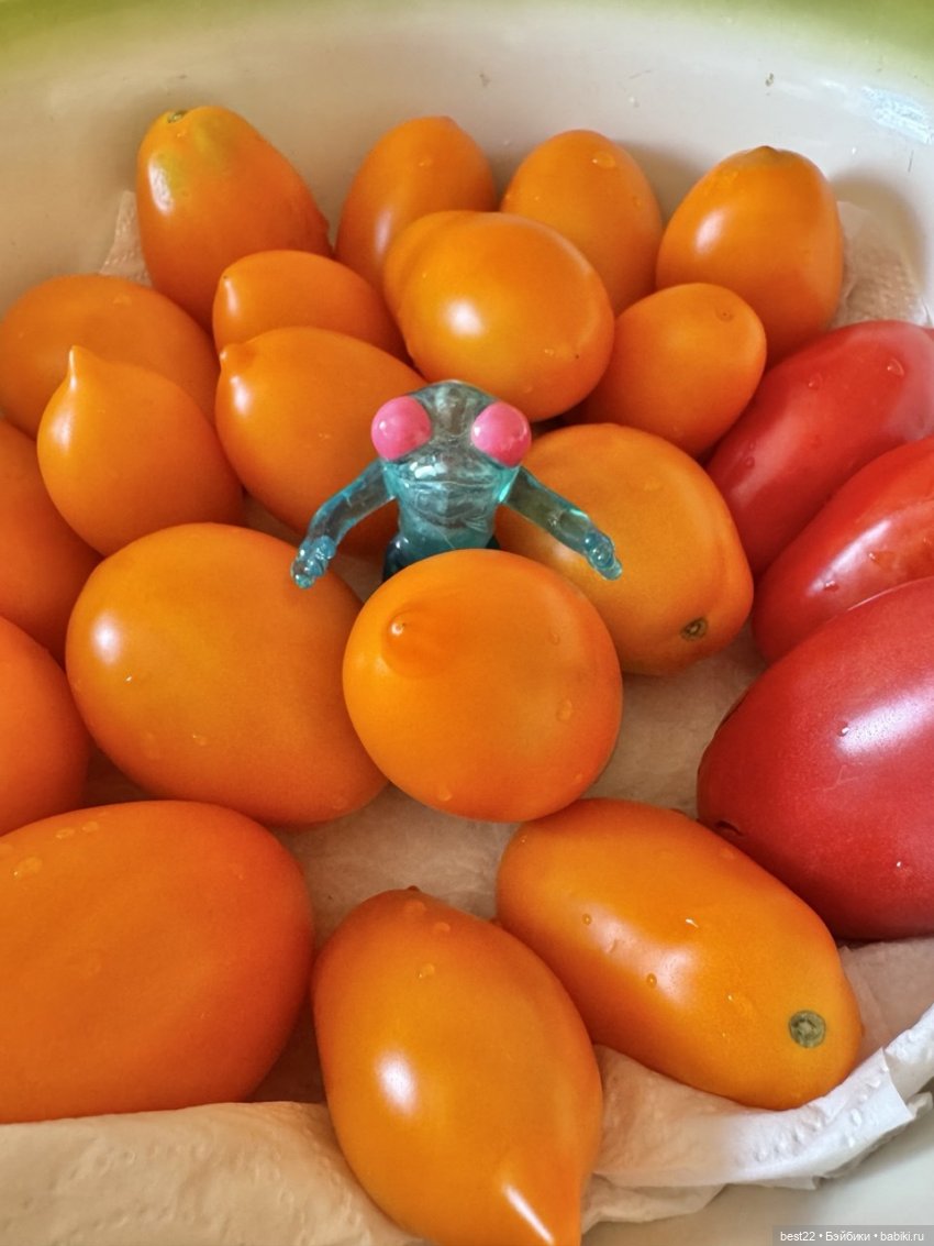 Осенний день с Мулей — Домашние фото авторских игрушек: Тедди (фото 2)