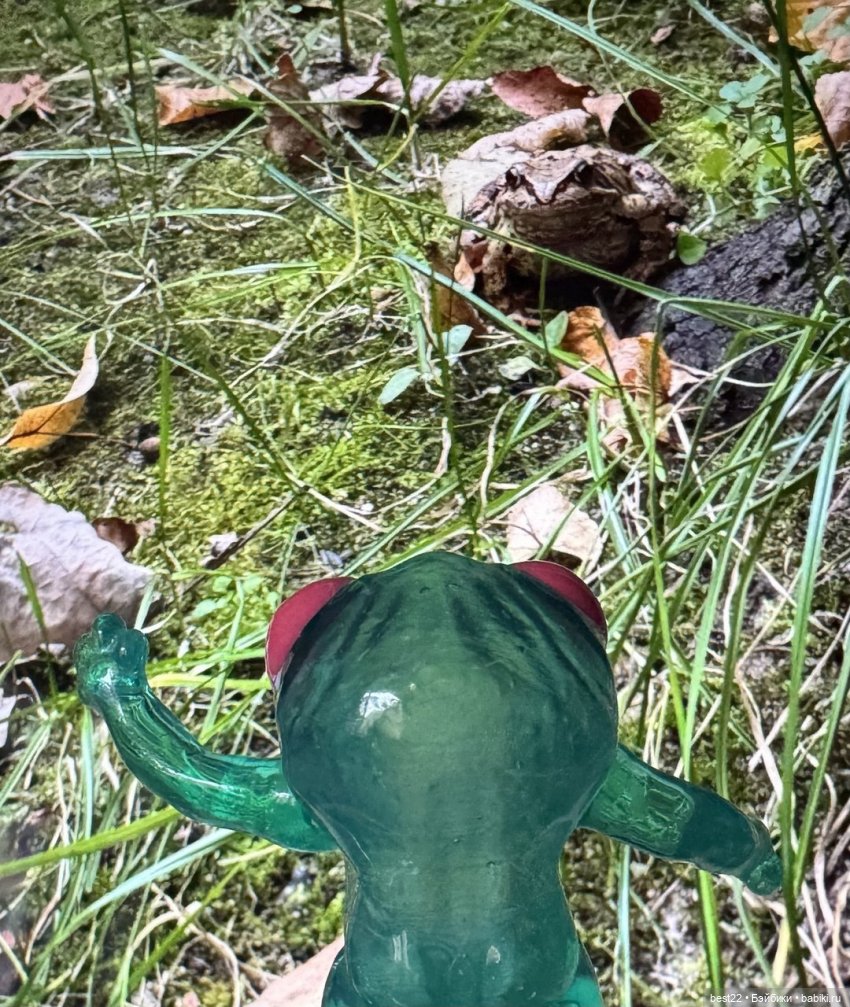 Осенний день с Мулей — Домашние фото авторских игрушек: Тедди (фото 10)