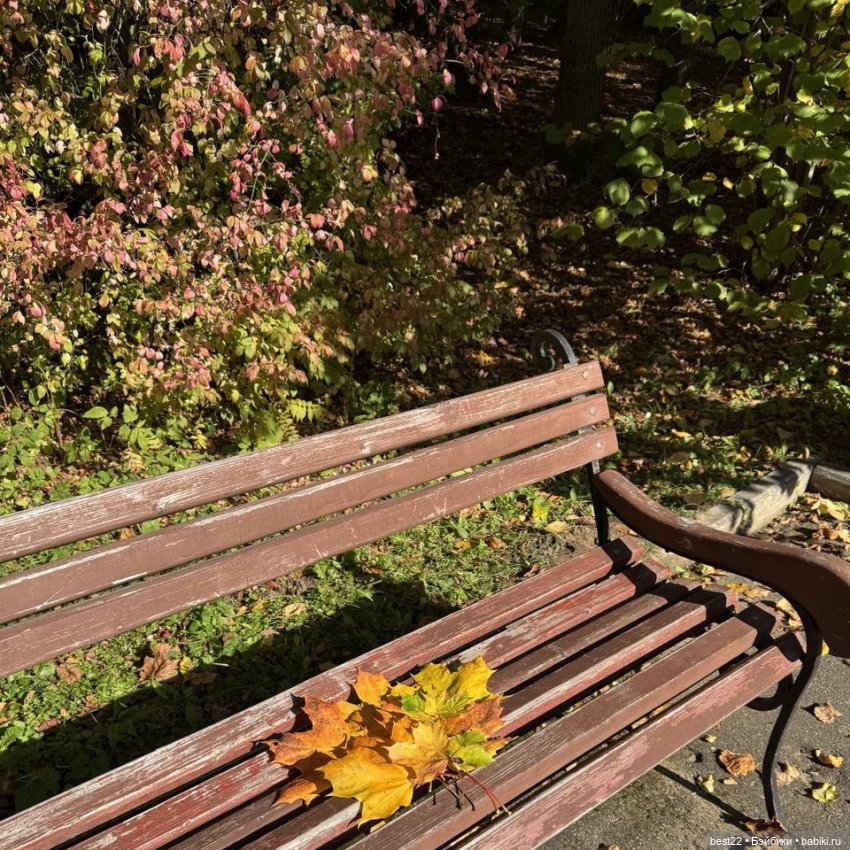 Осенний день с Мулей — Домашние фото авторских игрушек: Тедди