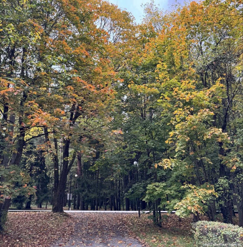 Осенний день с Мулей — Домашние фото авторских игрушек: Тедди (фото 6)