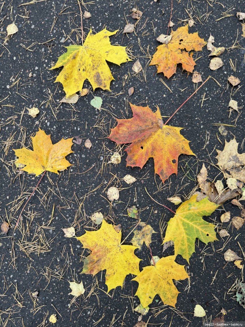 Осенний день с Мулей — Домашние фото авторских игрушек: Тедди (фото 7)