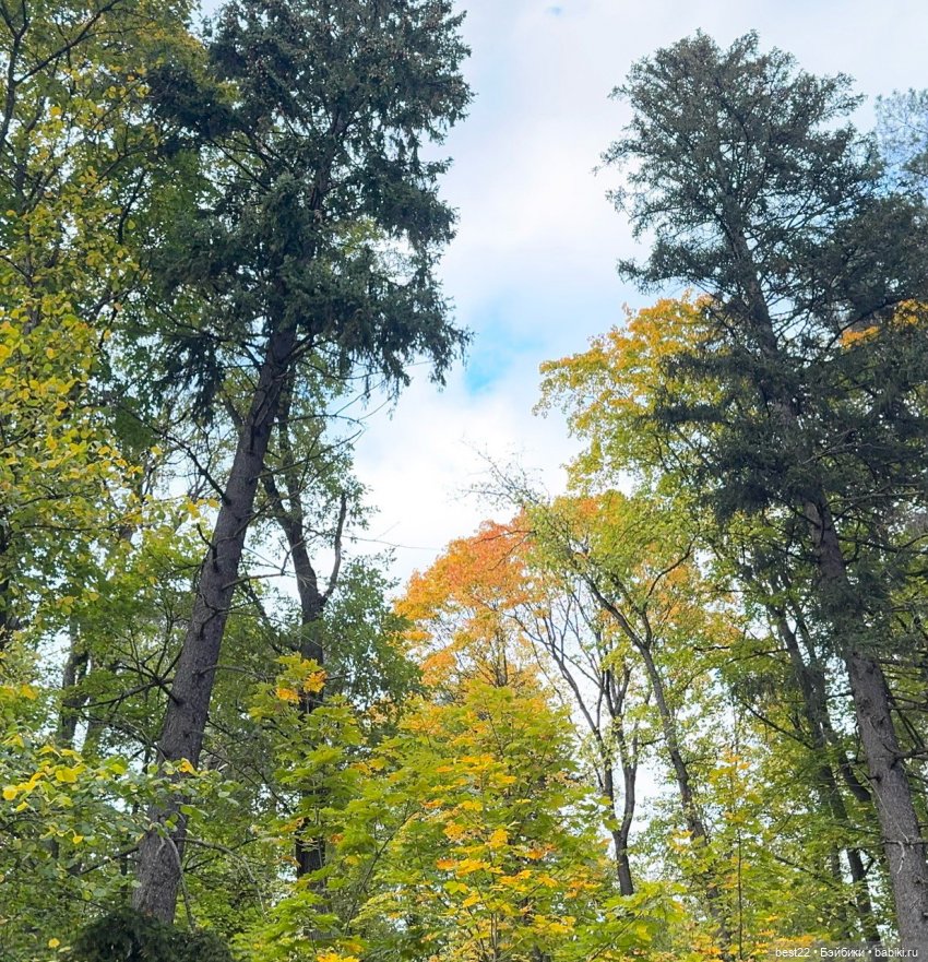 Осенний день с Мулей — Домашние фото авторских игрушек: Тедди (фото 5)