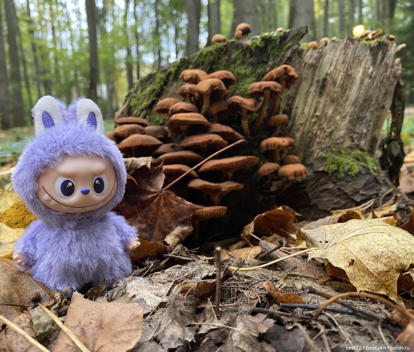 POP MART Mini Labubu — Фигурки Pop Mart (Поп Март): Blind Box (фото 5)