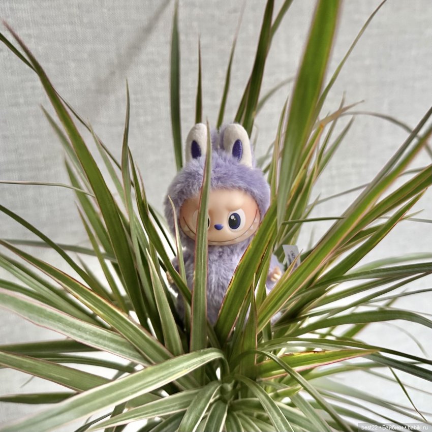 POP MART Mini Labubu — Фигурки Pop Mart (Поп Март): Blind Box (фото 7)