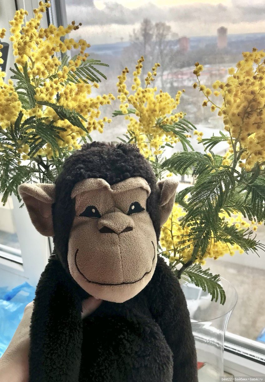 Мартышка 💗 — Интересные игрушки и фигурки (разное): редкие (фото 6)
