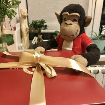 Мартышка 💗