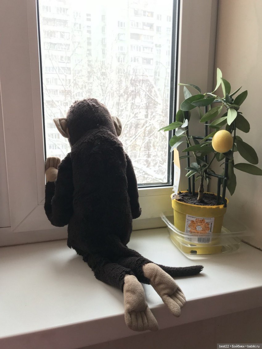 Мартышка 💗 — Интересные игрушки и фигурки (разное): редкие (фото 9)