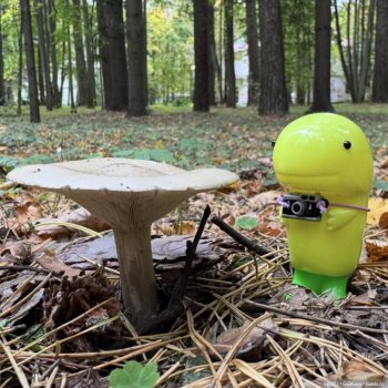 Время с Sofubi Дино