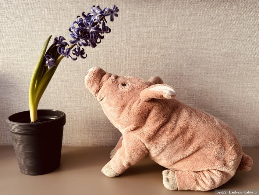 Зефирка | Бэйбики Зефирка — Игровые куклы разных производителей (Разное): редкие бренды