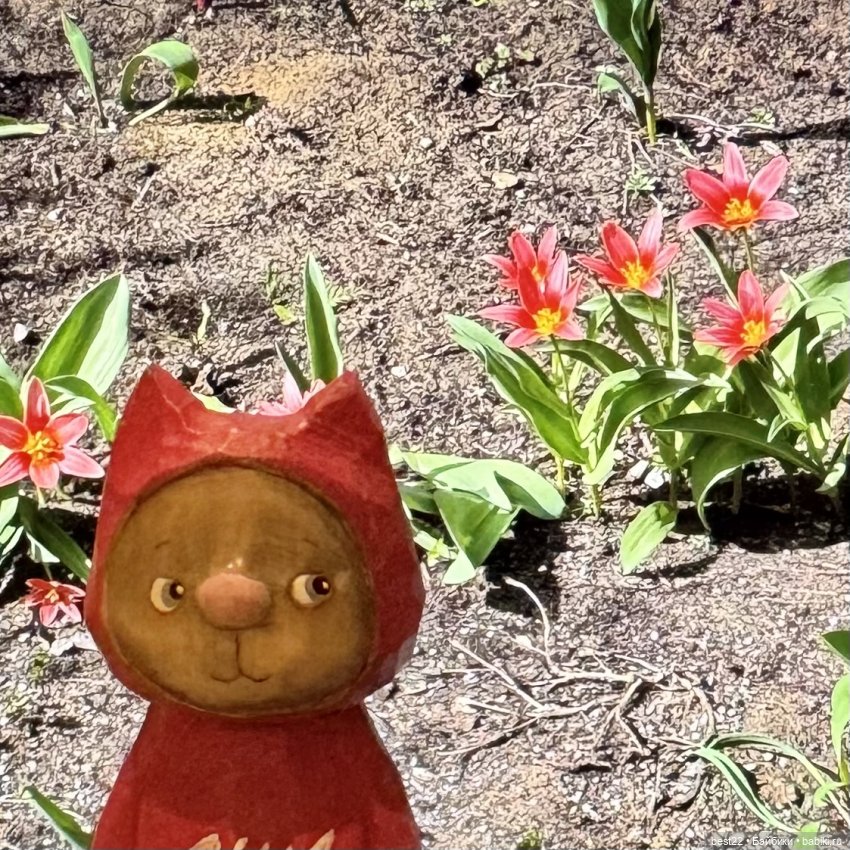 Первая весна Мяуса | Бэйбики Первая весна Мяуса — Авторские игрушки из дерева: резьба