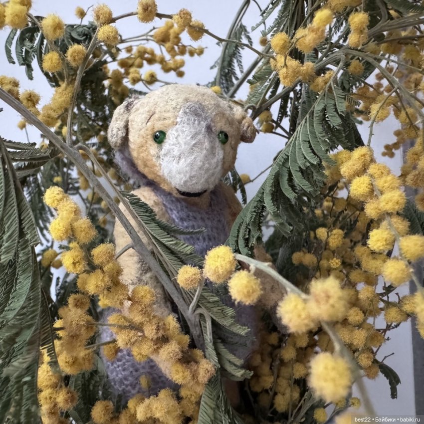 Умная собачка Соня — Домашние фото авторских игрушек: Тедди (фото 10)