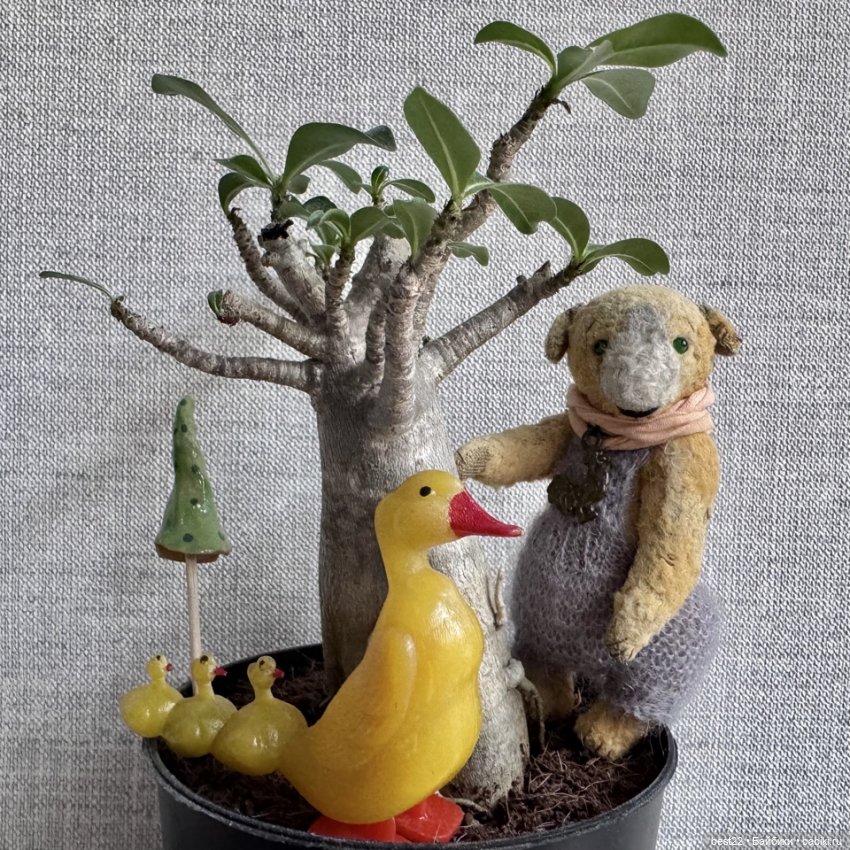 Умная собачка Соня — Домашние фото авторских игрушек: Тедди (фото 3)