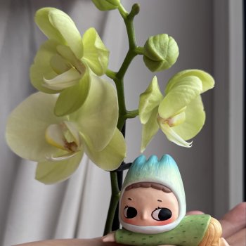 История неподвижной фигурки Nyota