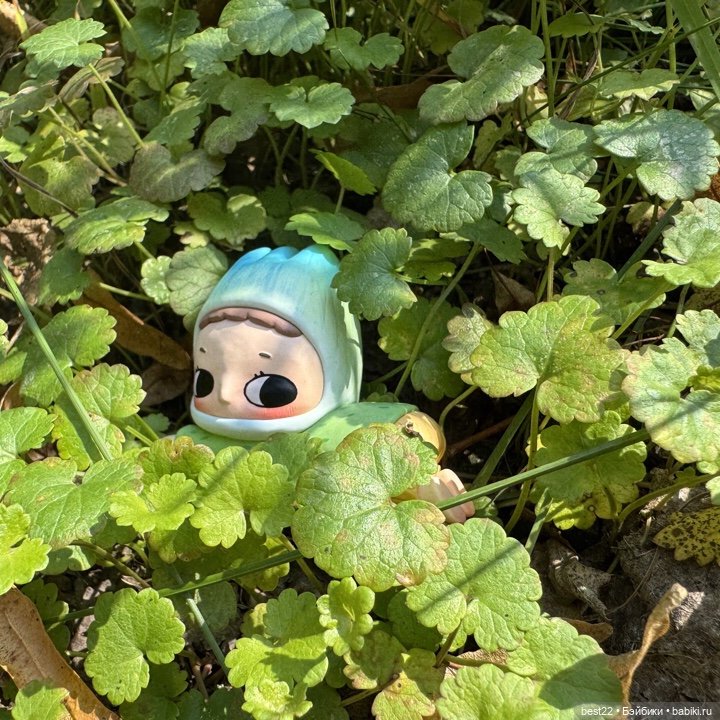 История неподвижной фигурки Nyota