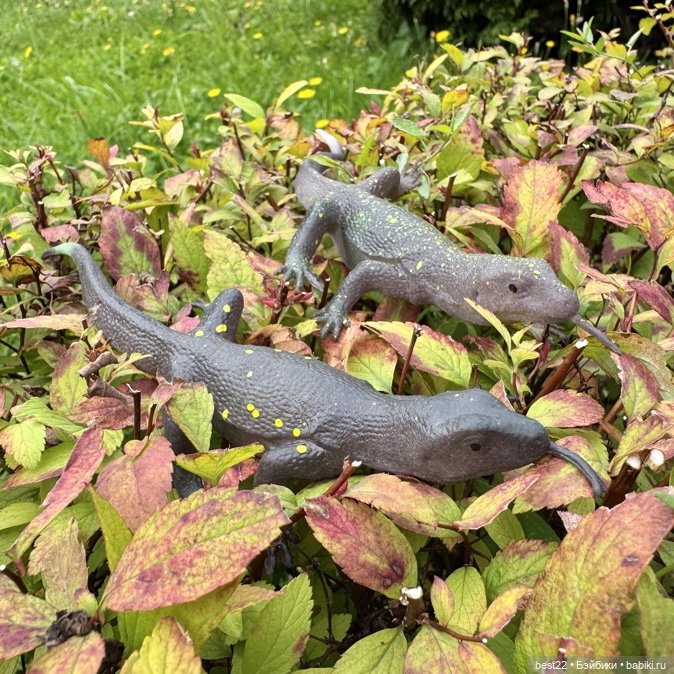 Из жизни игрушечных ящериц
