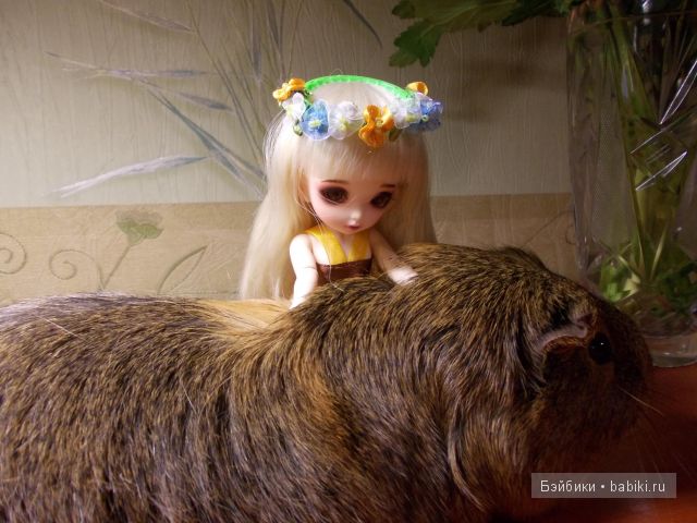 Майя Майя