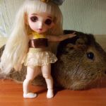 Покорители джунглей