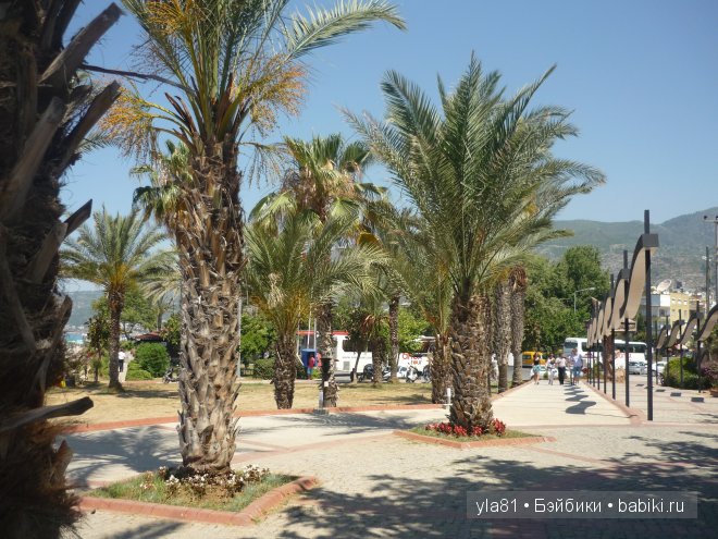 Покажи мне море... Или, как сбываются мечты! Диана от Dianna Effner (фото 3)