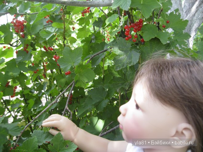 Дачные прогулки моих девочек (фото 5)