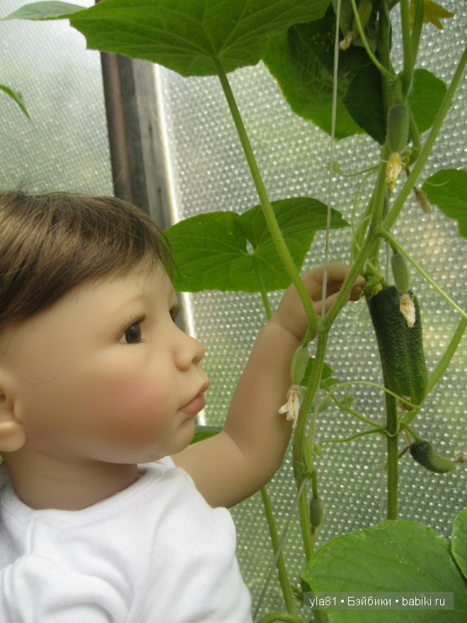 Дачные прогулки моих девочек (фото 6)