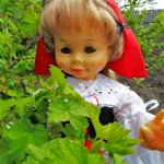 И снова - Красная Шапочка