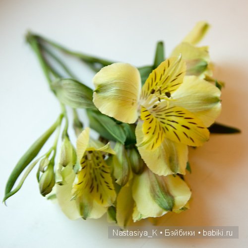 Рыжик - любимец солнца. Кукла Адора (фото 8)