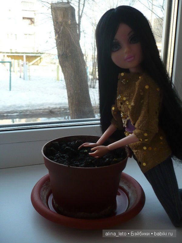 Мокси тинс дома — Куклы Bratz (Братц) и Moxie Girlz: MGA (фото 6)