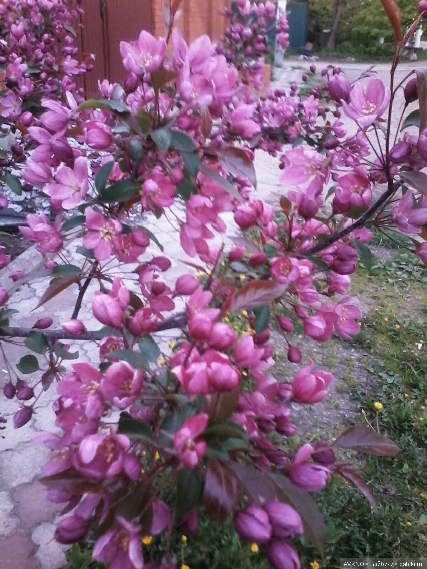 Наши красоты,природы — Болталка и разговоры обо всем: жизнь