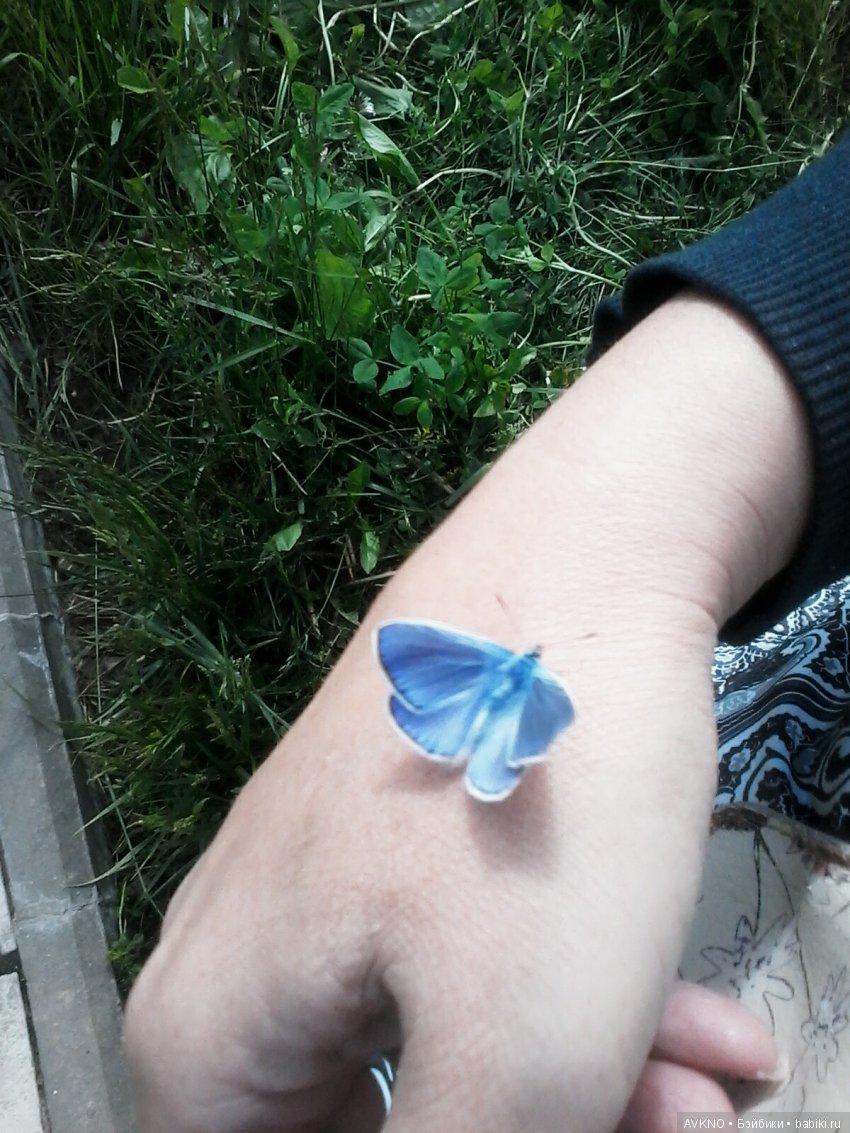 Наши красоты,природы — Болталка и разговоры обо всем: жизнь