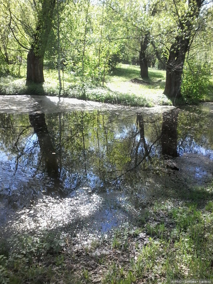 Наши красоты,природы — Болталка и разговоры обо всем: жизнь