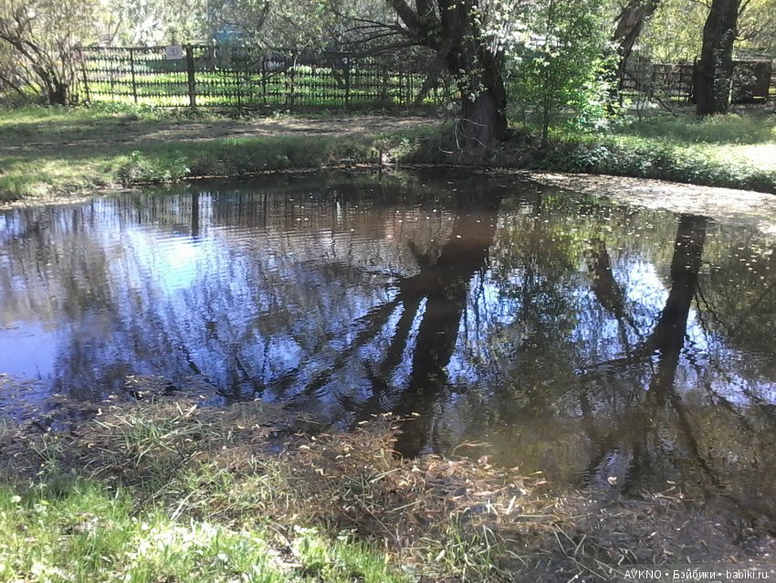 Наши красоты,природы — Болталка и разговоры обо всем: жизнь (фото 3)