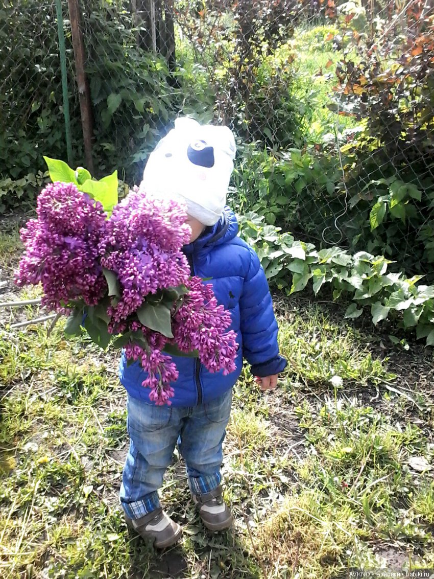 Наши красоты,природы — Болталка и разговоры обо всем: жизнь