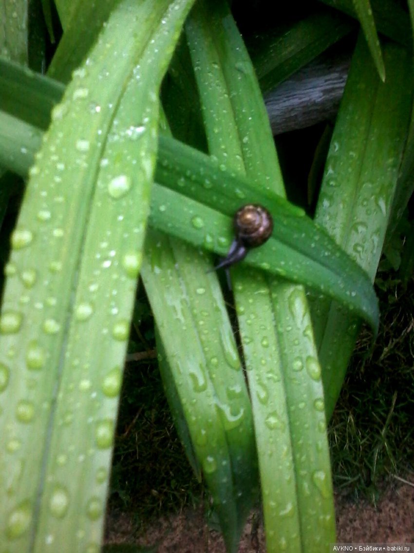 Наши красоты,природы — Болталка и разговоры обо всем: жизнь